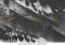 Featured image for Why Technical Glitches Ruin Business Presentations and How to Prevent Them